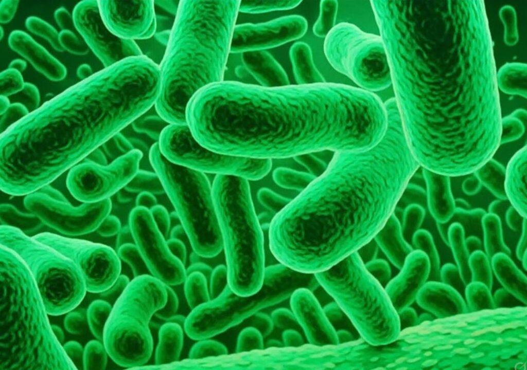 contaminação diesel